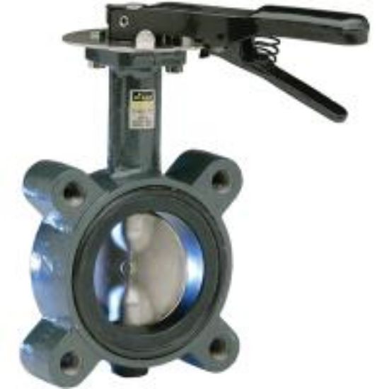 Picture of 22074 2-1/2" DI BUTTERFLY VALVE