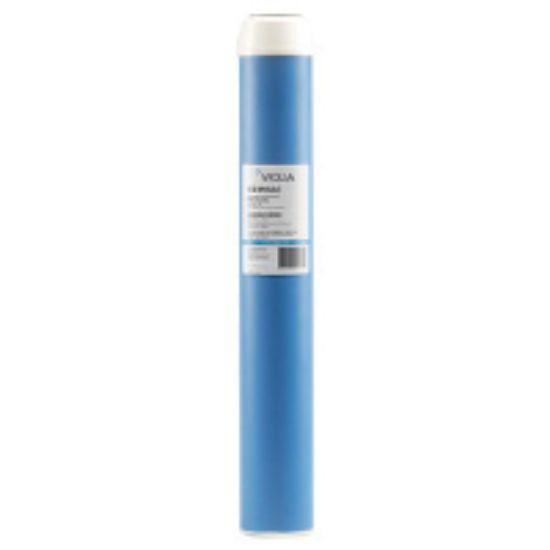 Picture of C2-01GAC CARBON CARTRIDGE