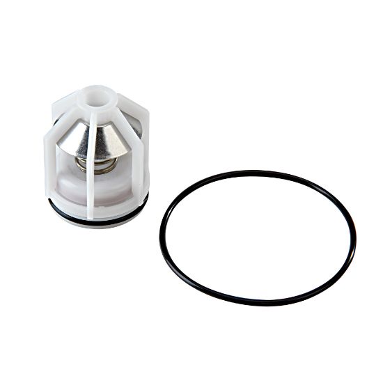 Picture of RK009-CK1 3/4-1" 1ST CHK REP KIT