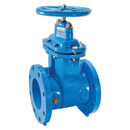 Picture of 405 RW 6" CI FLGD GATE VALVE