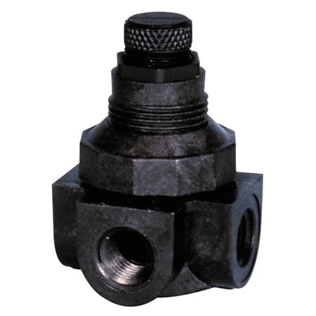 Picture of P60-M1-1/4" 0-25 PLAST WTR PRES REGUL