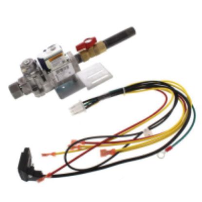 Picture of 382-200-410 GV SER.1/2 GAS VALVE