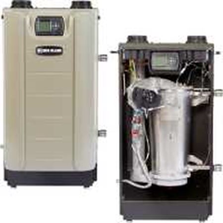 Picture of EVG-22O EVERGREEN 220K GAS BOILER