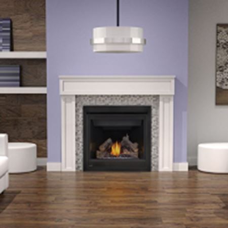 Picture of CDIZC-NSB BASIC FIREPLACE INSERT W/G