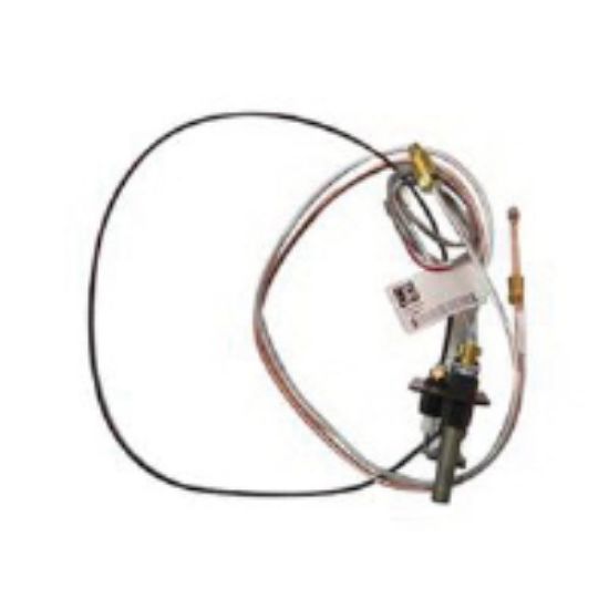 Picture of W010-0798 PILOT ASSEMBLY