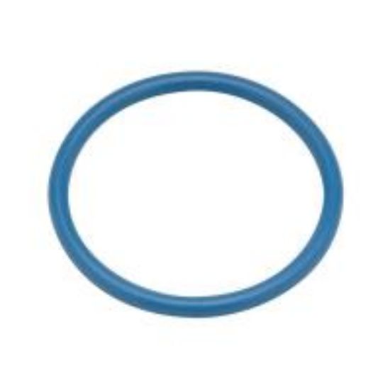 Picture of P6000-C31 FLUSH VALVE O-RING