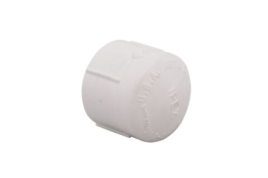 PVW4TCAP3