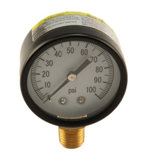 Image sur PG-100NL SP 2"JAUGE PR 1/4" LM 0-100