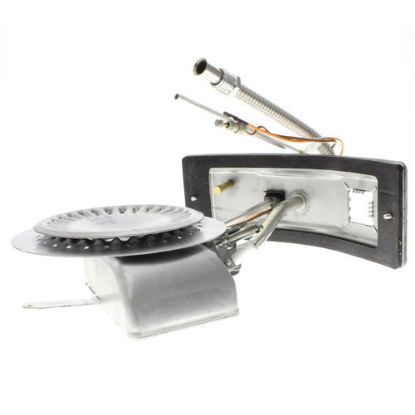 Image de 100111335 2MANIFOLD DOOR/BURNER ASSY NG