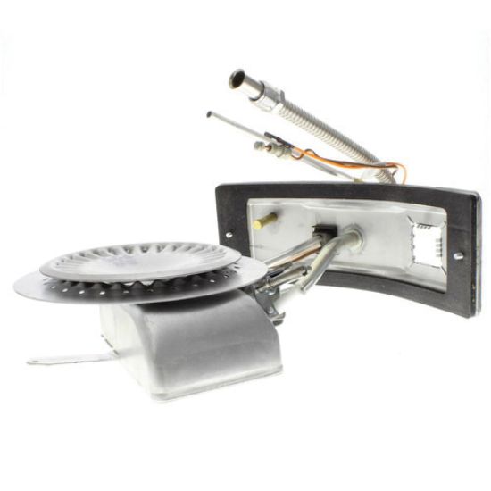 Image sur 100111335 2MANIFOLD DOOR/BURNER ASSY NG