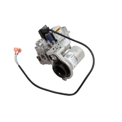 Image de 100111186 ASS. VALVE GAZ/VENTURI