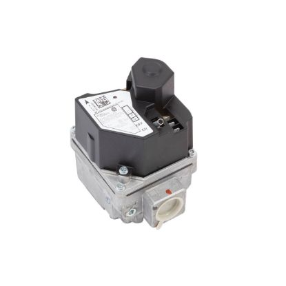 Picture of 100110867 GAS VALVE NG BTRC 305-40