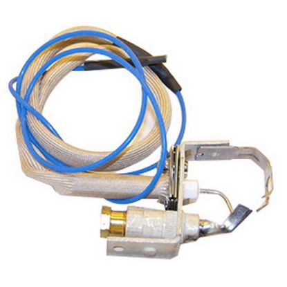 Picture of 100110271 PILOT ASSY