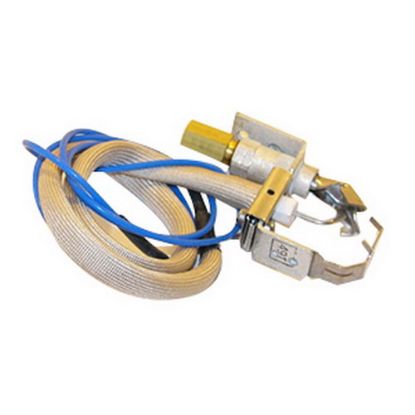 Picture of 100109928 PILOT ASSY BTRC 200-500 LP