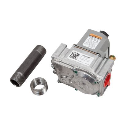Image de 100112323 GAS VALVE