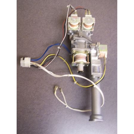 Picture of 100111810 GAS VALVE