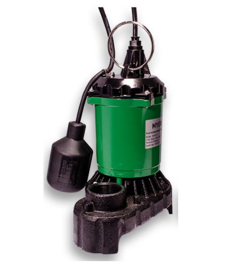 Image sur MS33PT10 PMP 1/3HP 1-115 10' CORD EXT