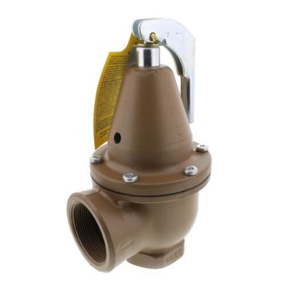 Picture of C++ 740-CAN 1-1/2X2" 75PSI BOIL PRES RE
