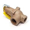 Picture of C++ 740-CAN 3/4" 060 BOILER PRES RELIEF