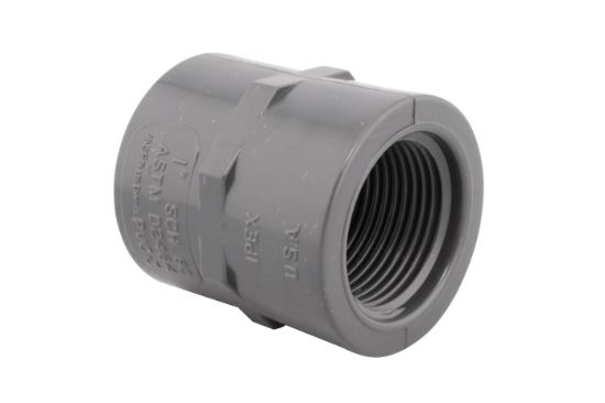 Picture of 1-1/4 S80 PVC THRD COUPLING 36109
