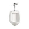 Picture of 4810BFX CARLTON 1.9L HET URIN TOP IN