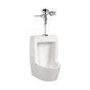 Picture of 4810BEX CORNELL 1.9L HET URINAL TOP IN