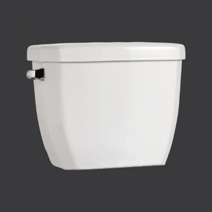 Picture of C++ 4724BFVU CANE 4.8L TANK UNLINED 14"