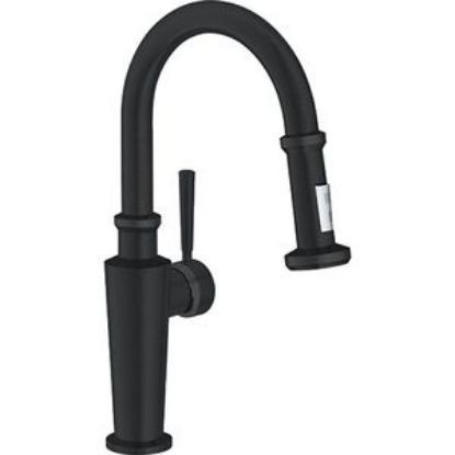 Picture of C++ FFP5220 ABSINTHE PREP FCT P/D BLACK
