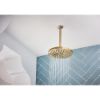 Picture of R++ RP48986GL SHOWER ARM 10 IN. CEILING