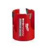 Image sur 49569210 2-1/8" BIG HAWG A/DENT CARB