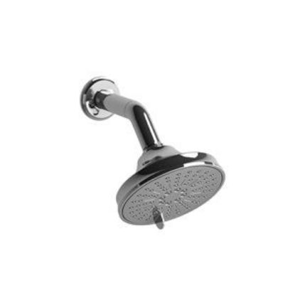 Picture of 356BN MOMENTI 2 JET SHWR ARM&HEAD BR.NKL