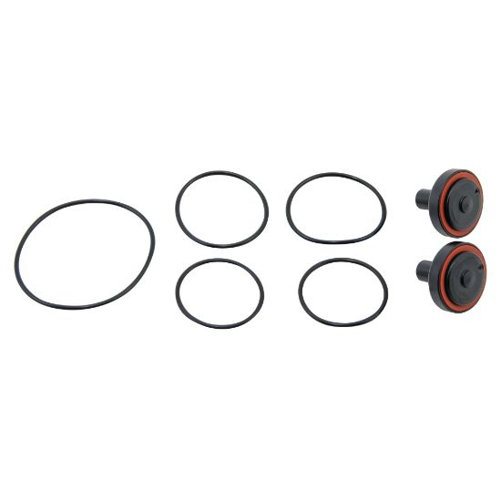 Picture of RK009M3-RC3 3/4" CHECK RUBR PART KIT