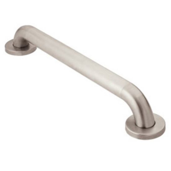 Picture of R8930P 30" PEENED GRAB BAR SS