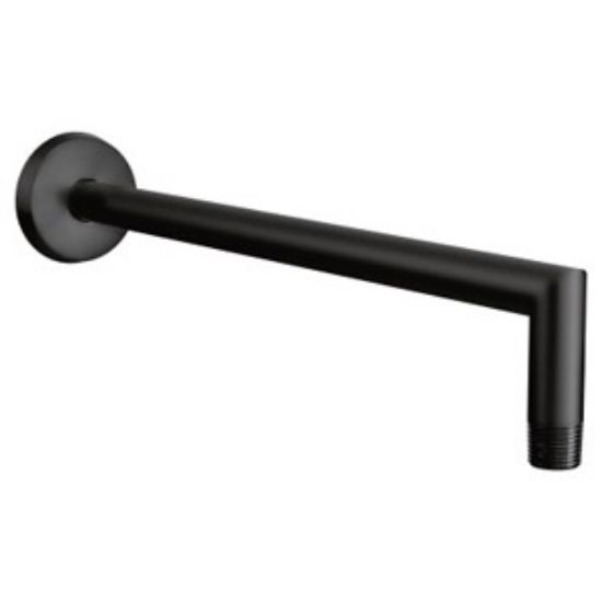 Picture of S110BL SHWR ARM BL