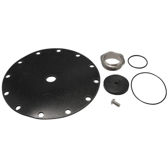 Picture of LFRK 223N LLC 2" RED VLV REPAIR KIT