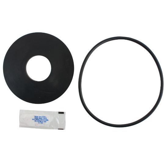 Picture of RK909-RCI 4" REPAIR KIT