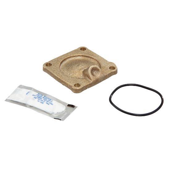Picture of LFRK909-C2 LLC 3/4-1" 2ND BCKFLW REP KIT