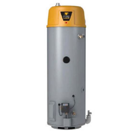 Picture of BTX-80 NG 50G 76K BTU COM WTR HTR