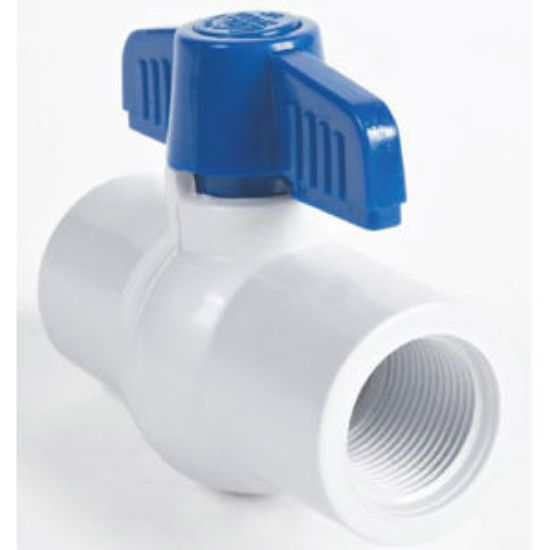 Image sur 19509 2" VALVE BILLE VISSE PVC