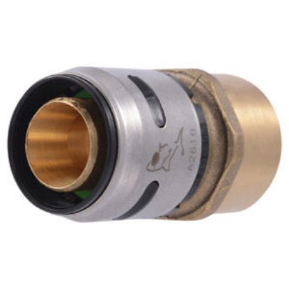 Image de C++ K094WP3 1" X 1" FNPT STRAIGHT PKG (