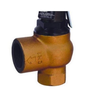 Picture of 19499-0050 1"X11/4"F95 IR BDY 50PSI RLFV