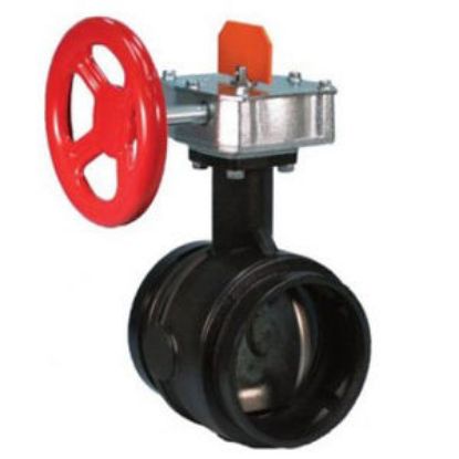 Image de 707C 8 VLV PAPIL SUPERV FERMEE