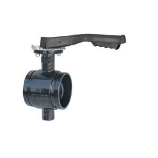 Picture of W50AEDGGSLL 3" 300# DI GRV BFV W/LEV HDL