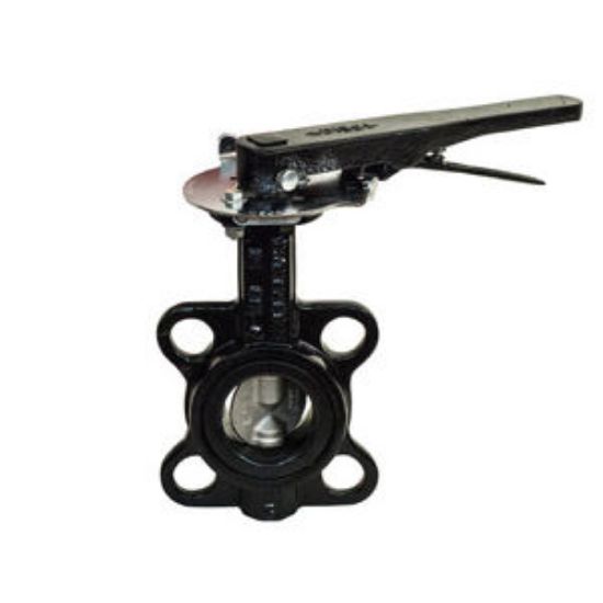 Picture of WD4SELH 5" WFR DI BFLVLV EPDM