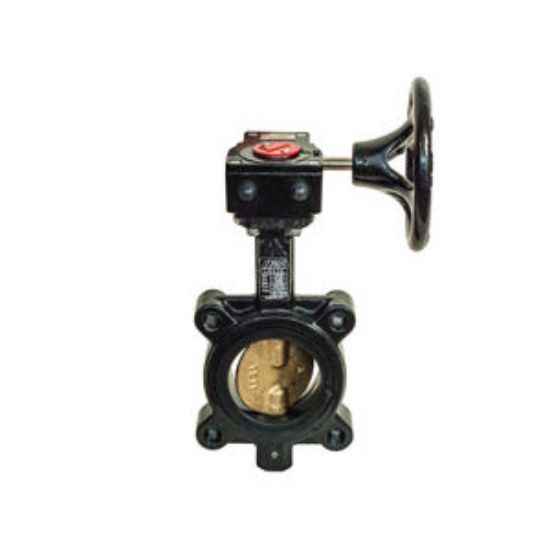 Picture of LD4AEG 10" LUG DI BFLY VLV EPDM