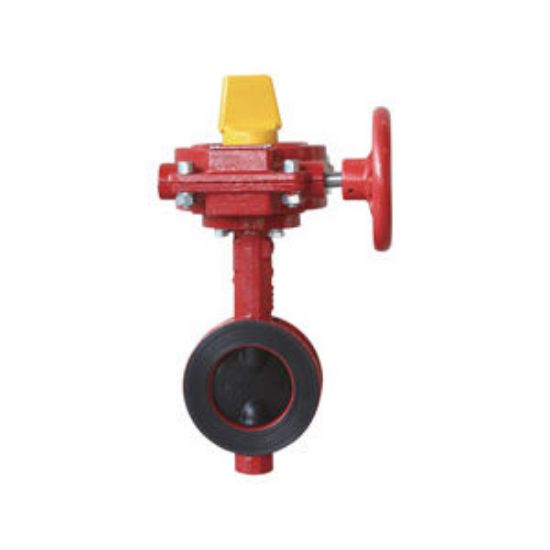 Picture of W50AEDWWSGOA 6" 300# DI WFR BTF C/W TS