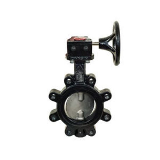 Picture of LD4SEG 10" LUG DI BFLVLV EPDM