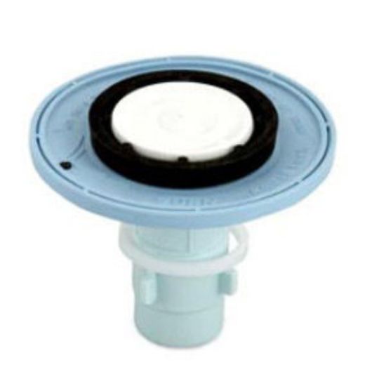 Picture of P6000ECRPWS DIAPRAGHM 2.4GPM