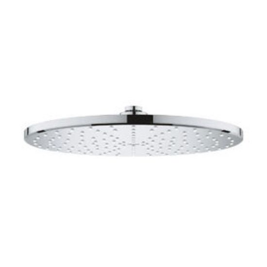 Picture of 26569000 RSH 310 MONO HEADSHOWER 6 6L