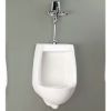 Picture of 4810BFX CARLTON 1.9L HET URIN TOP IN